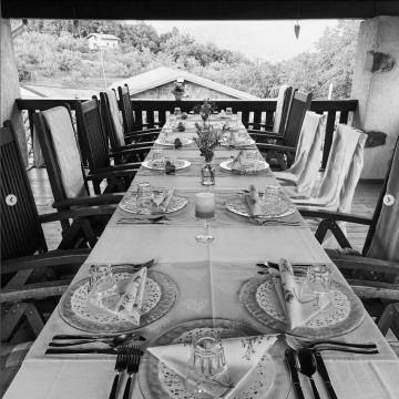 Screenshot 2022-09-15 at 09-42-00 Cejkotova Domačija (@cejkotova_domacija) • Instagram photos and videos